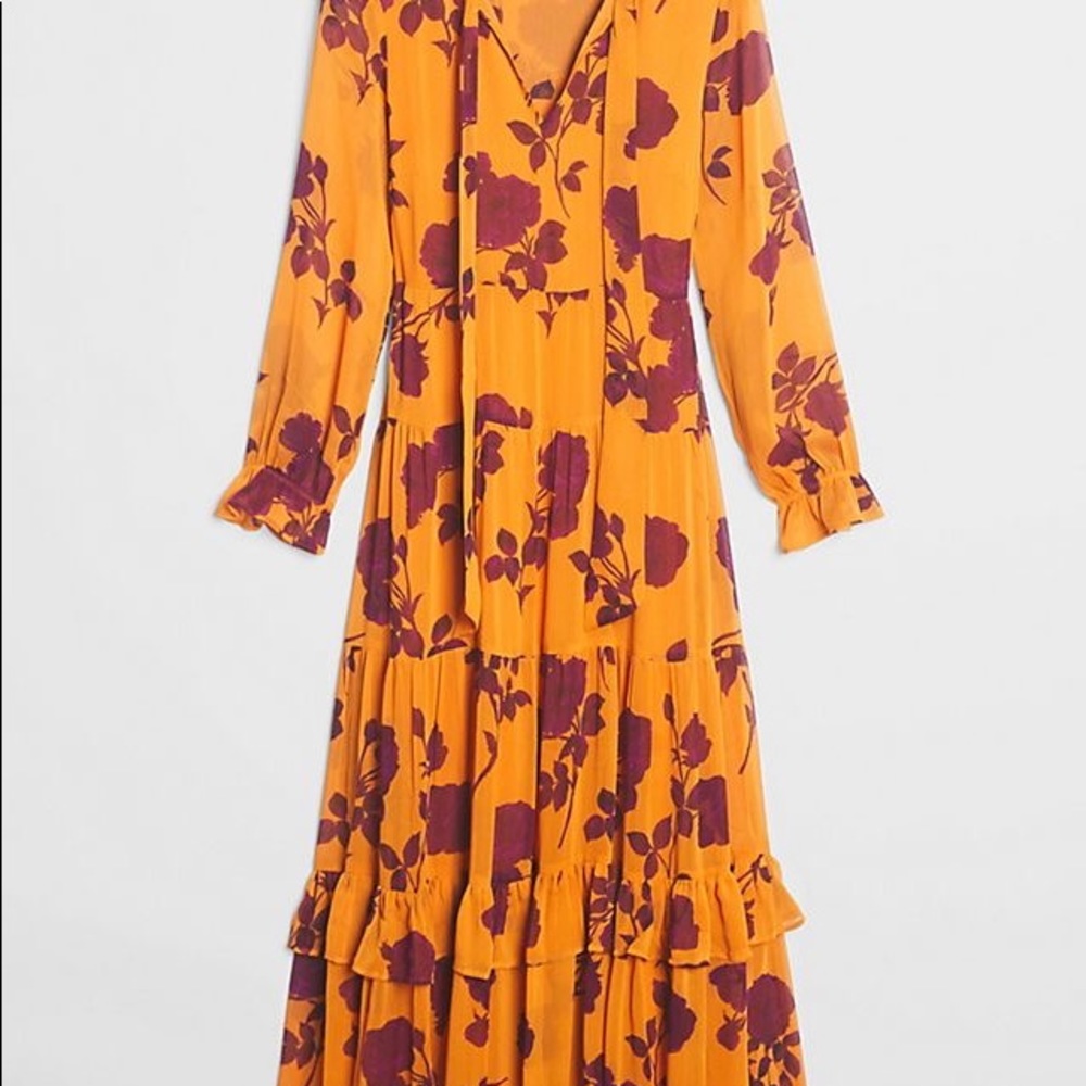 Anthropologie Rosalita Sheer Maxi Dress SZ XSp